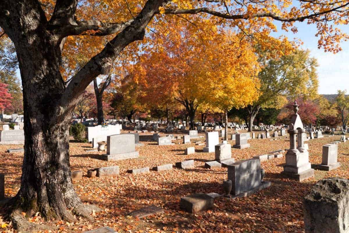 Top 25 Things To Do In Huntsville (AL) - The Crazy Tourist