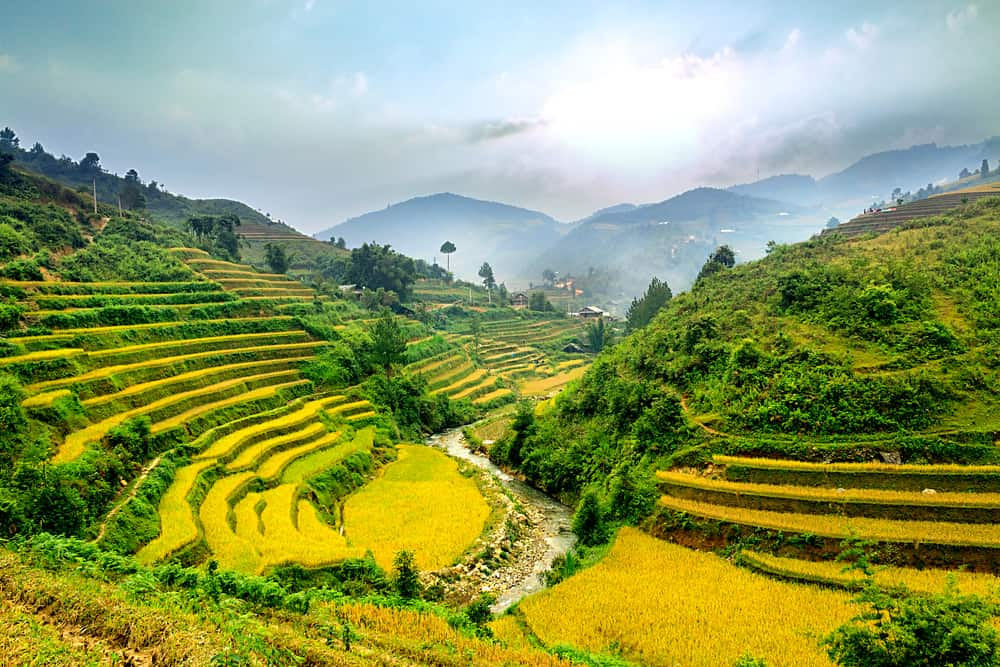 Rice Terrace Fields in Mu Cang Chai, Vietnam