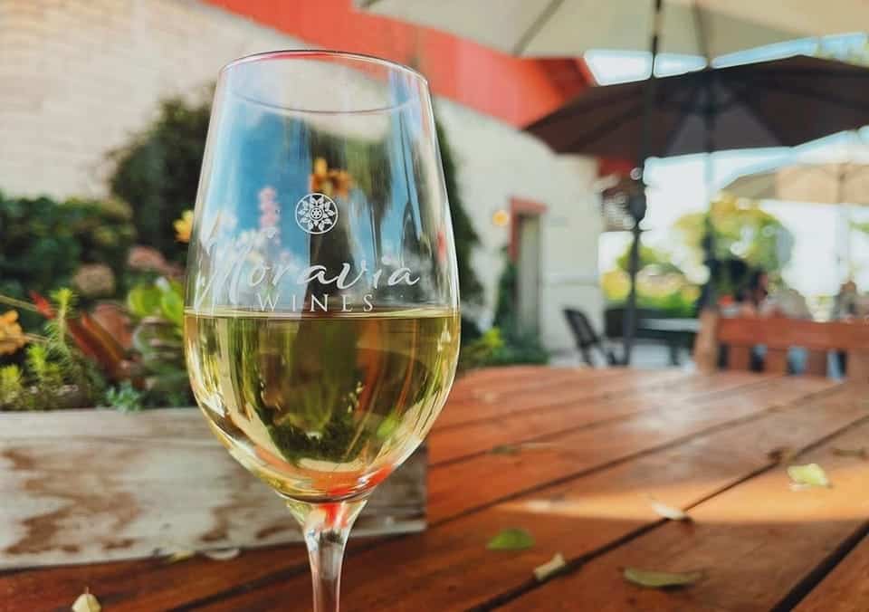 Moravia Wines