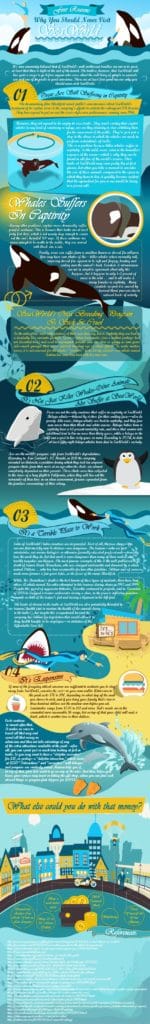 Never Visit SeaWorld