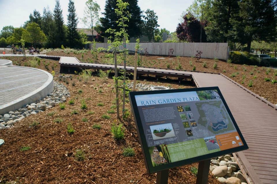 Rain Garden Plaza