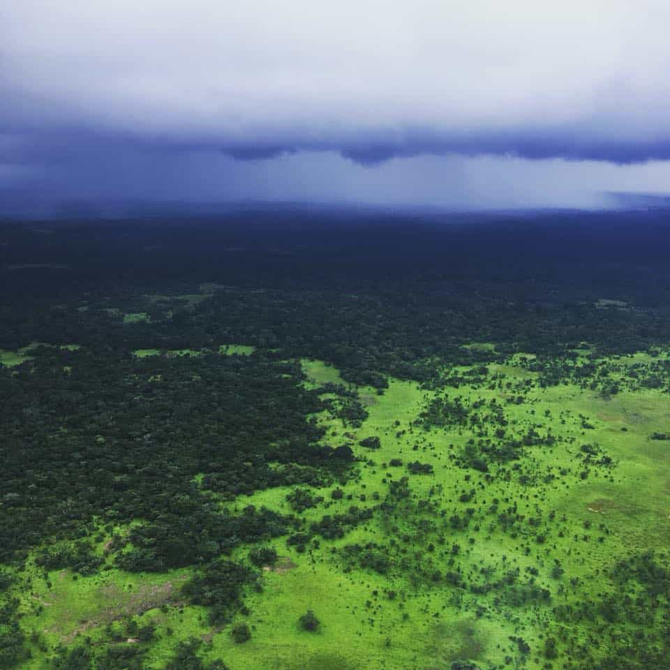 Chinko Nature Reserve