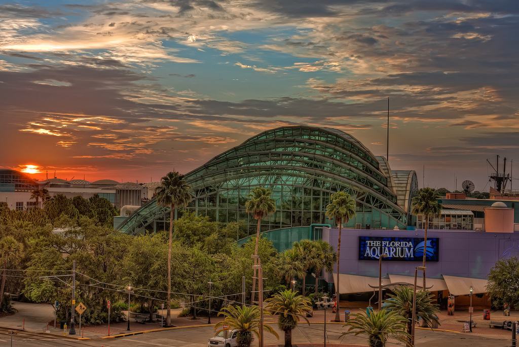 Florida Aquarium
