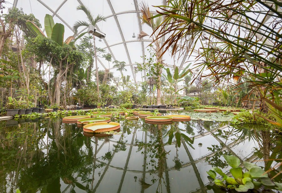 Botanical Garden