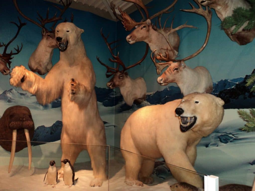 Brookshire’s World of Wildlife Museum