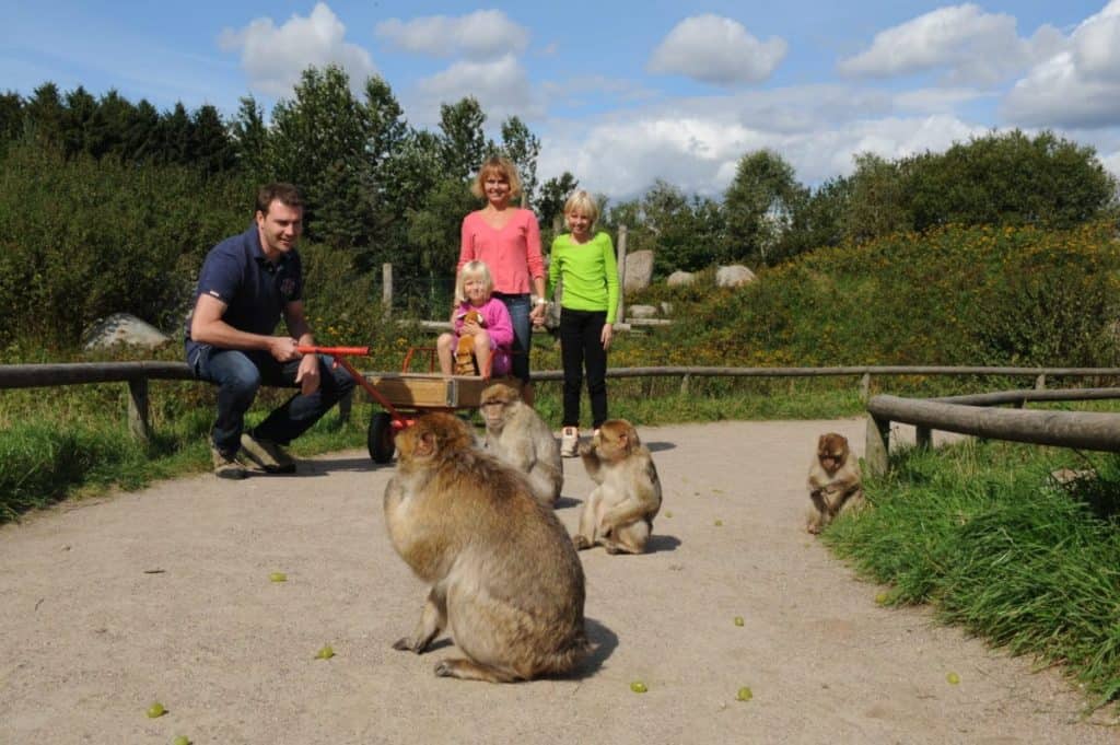 Givskud Zoo