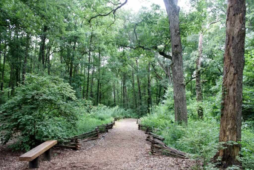 John Ripley Forbes Big Trees Forest Preserve