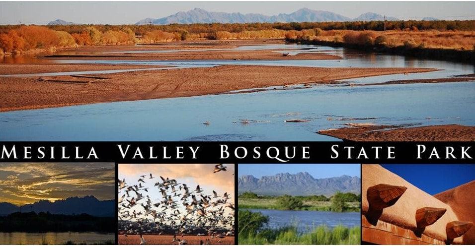Mesilla Valley Bosque State Park