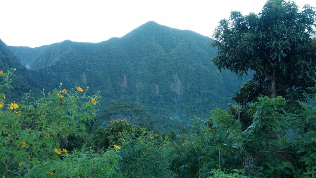 Mt Ntingui