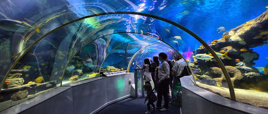 National Sea Life Centre
