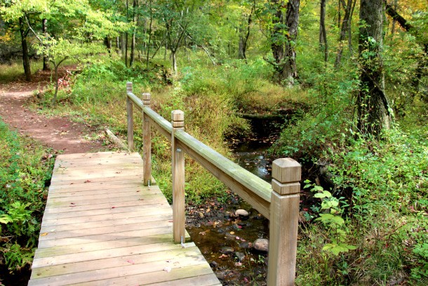 Rutgers Ecological Preserve