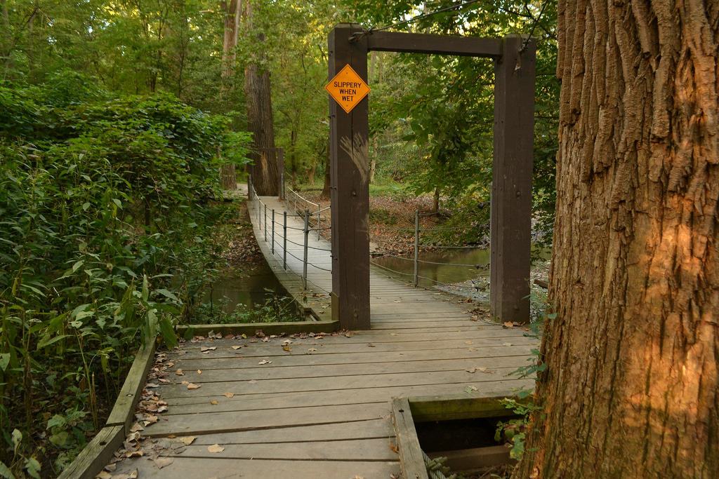 Swan Creek