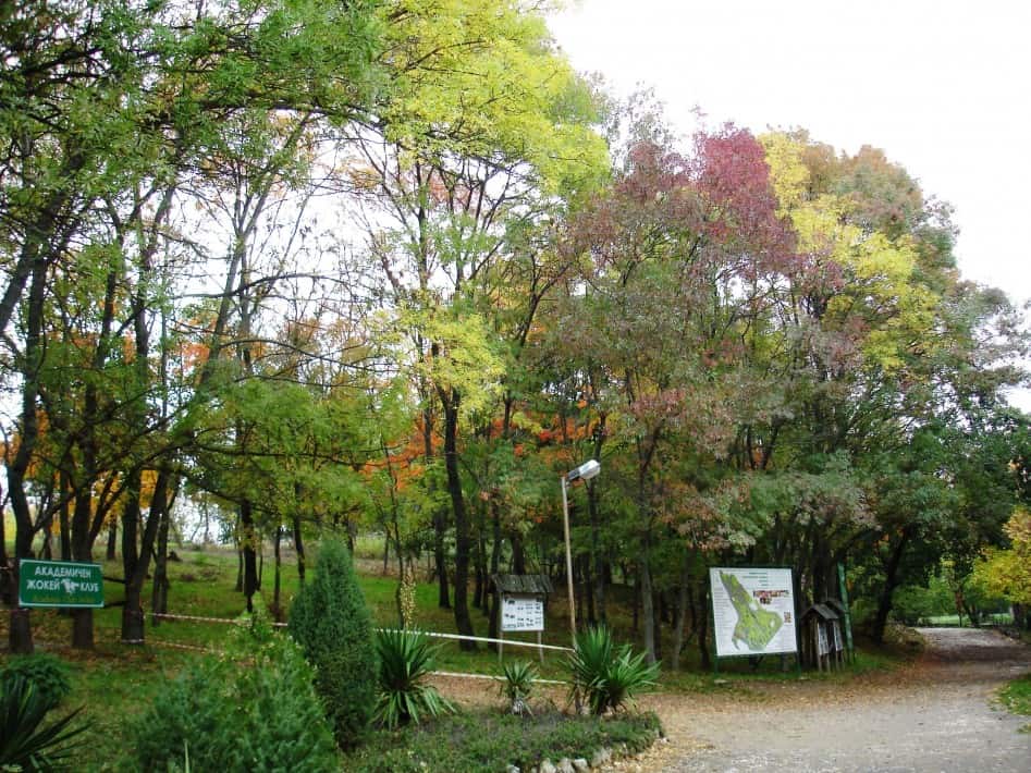 University Botanical Garden