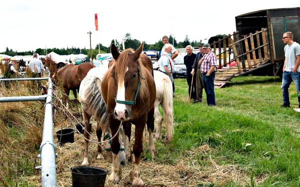 Vorbasse Market