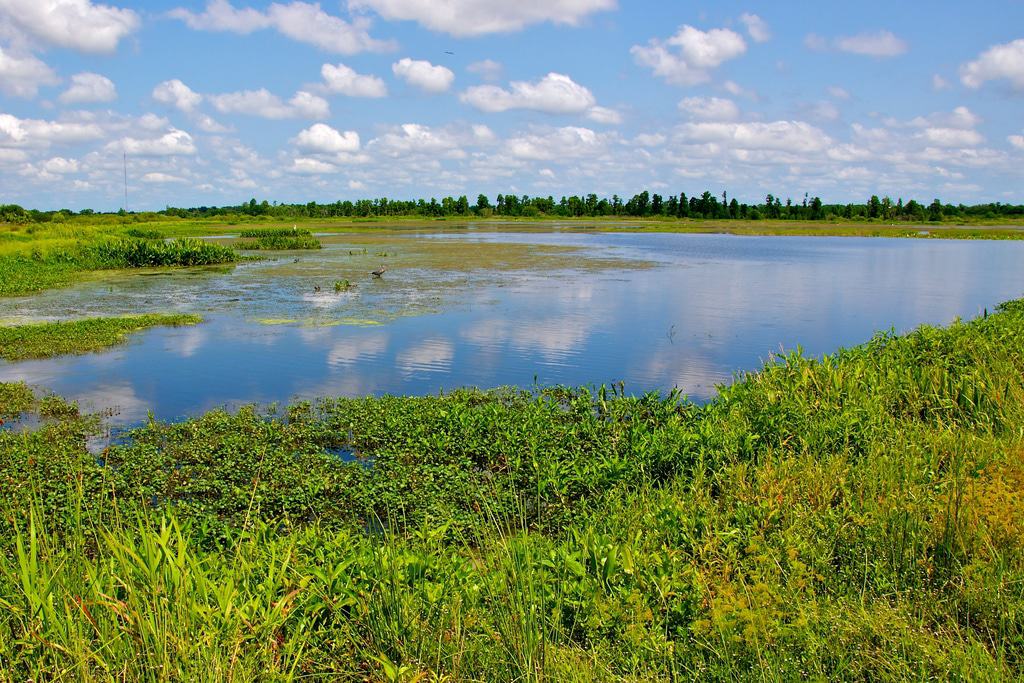 Circle B Bar Reserve