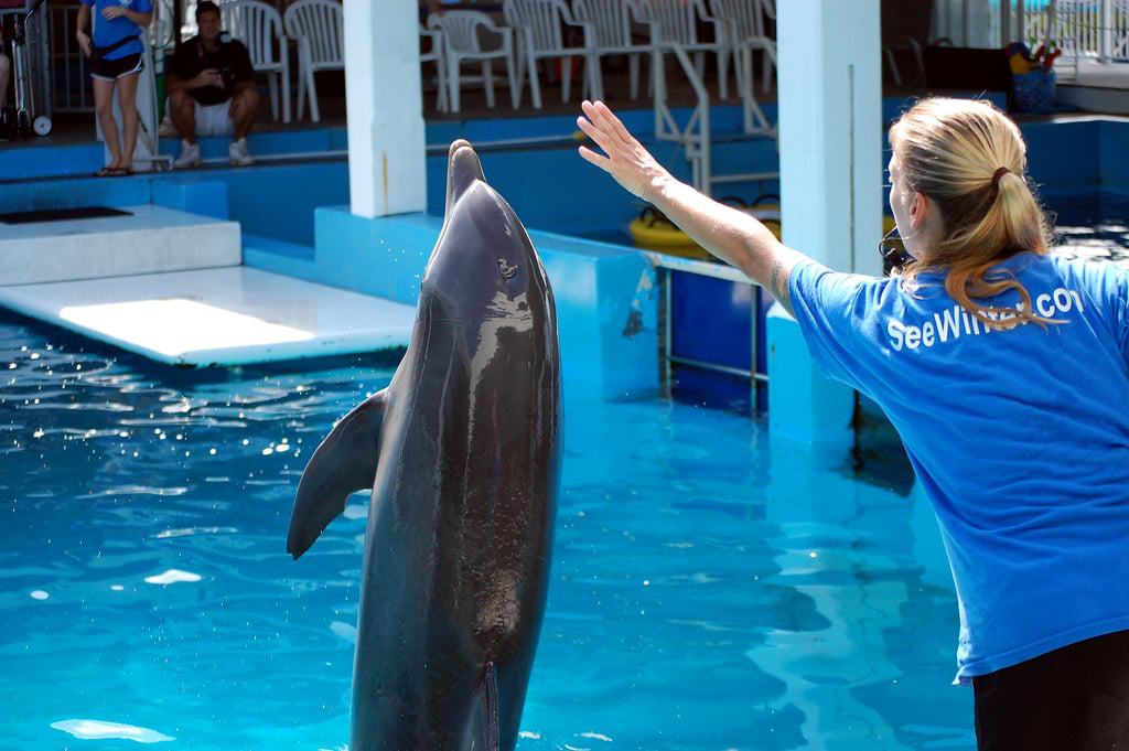 Clearwater Marine Aquarium