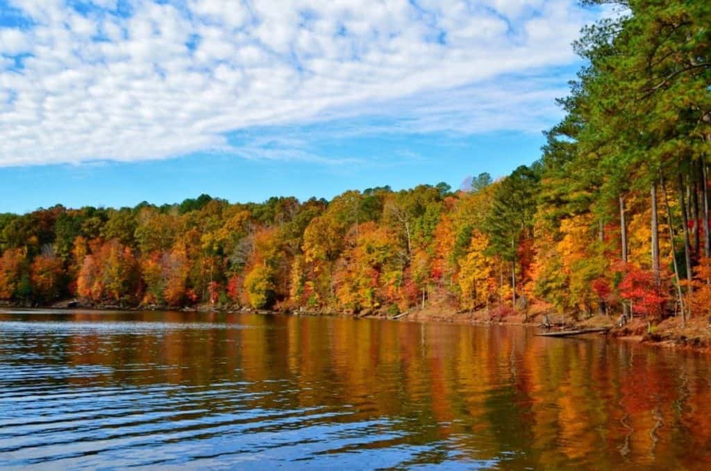 Falls Lake