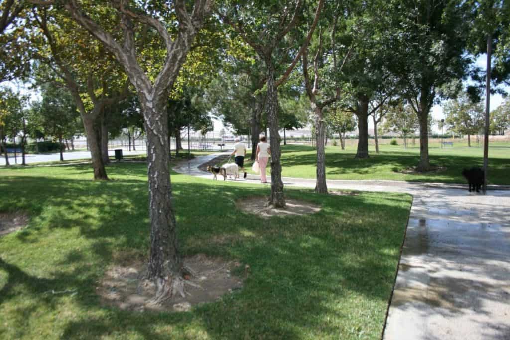 Ferguson Park