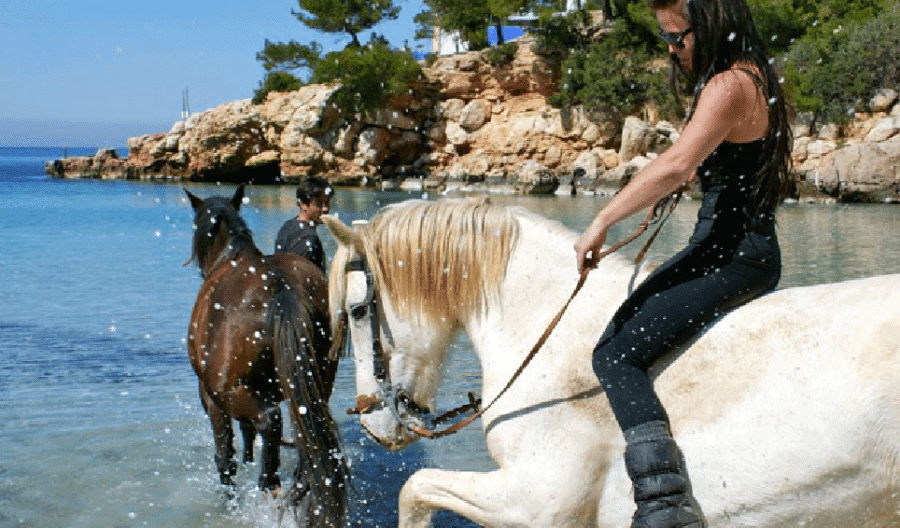 Horse Valley