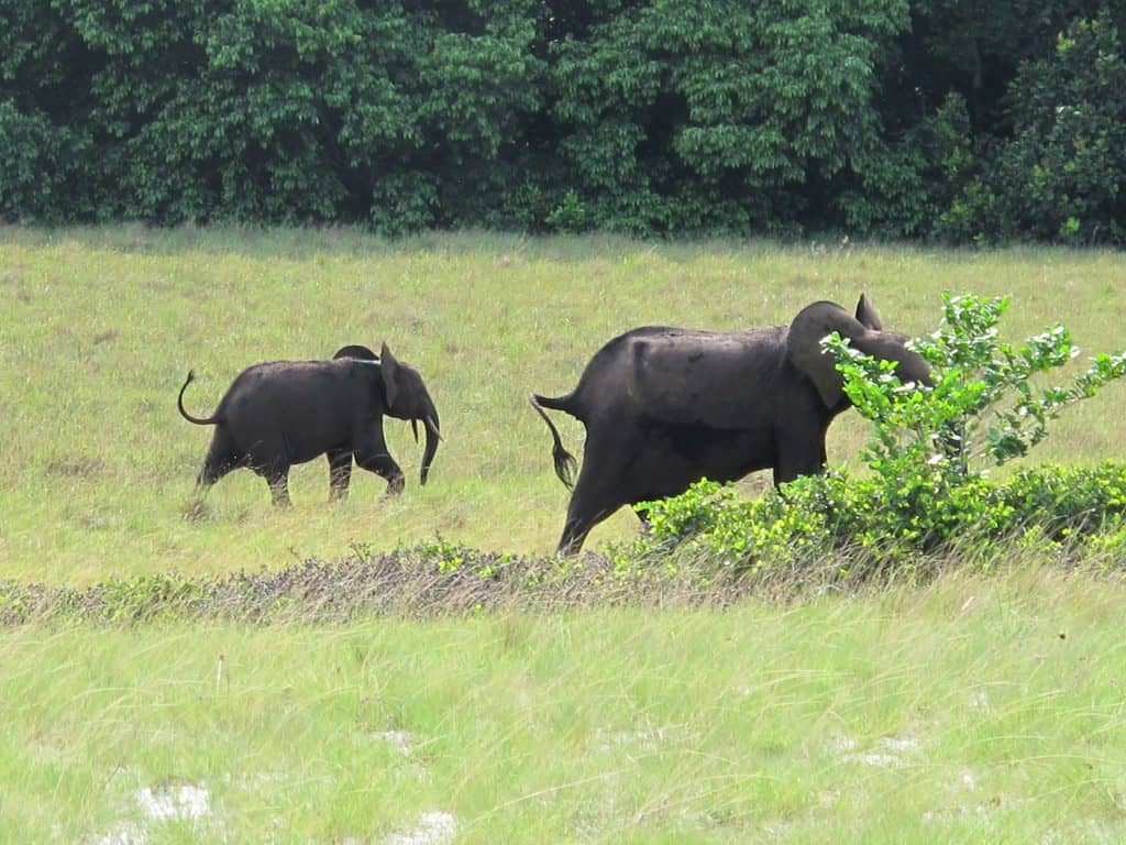 Loango National Park