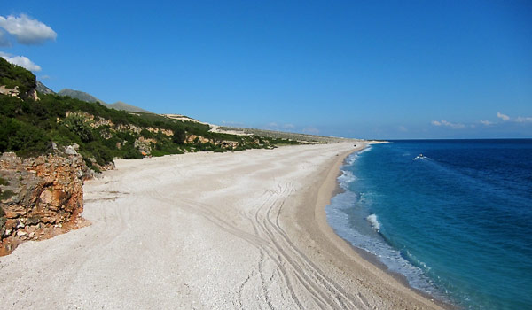 Palasa