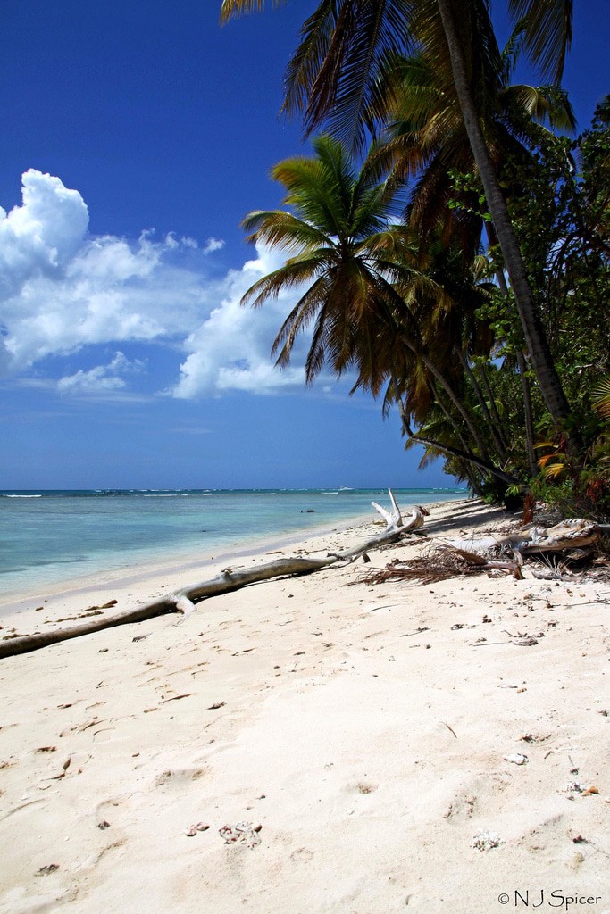 Pigeon Point, Tobago