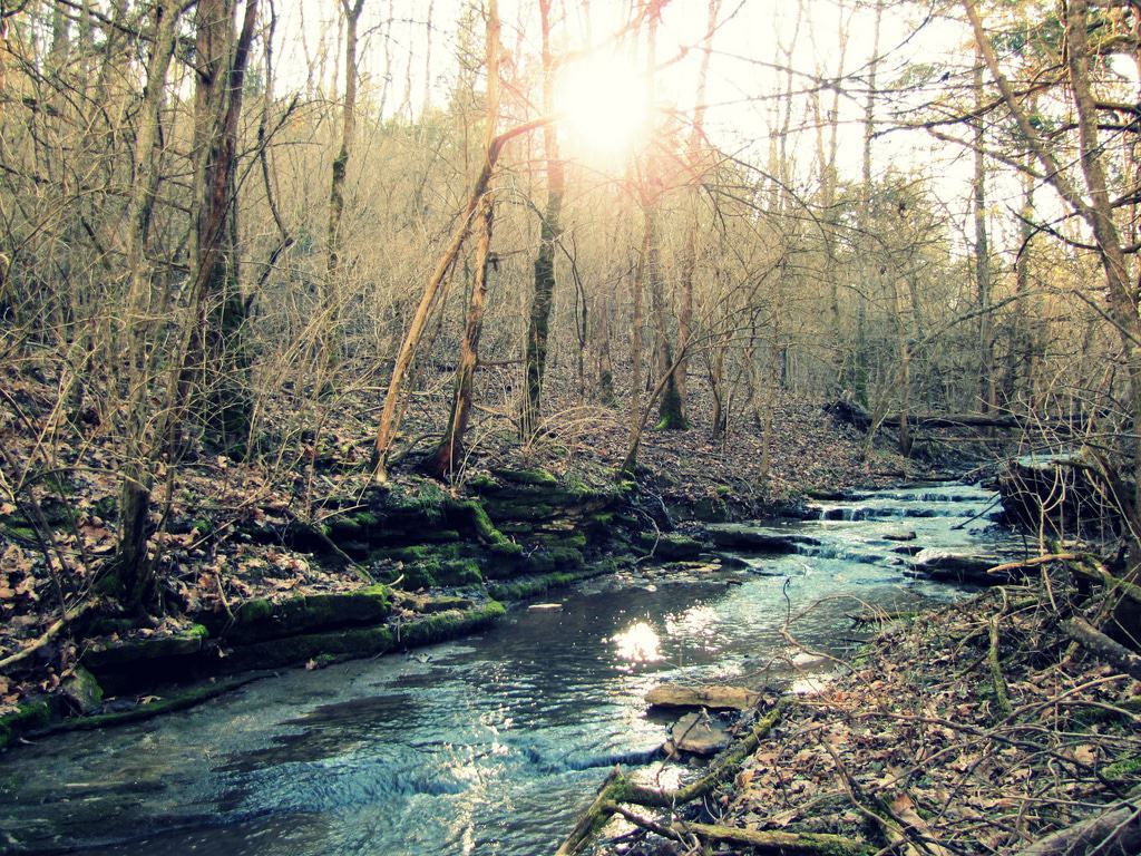 Raven Run Nature Sanctuary