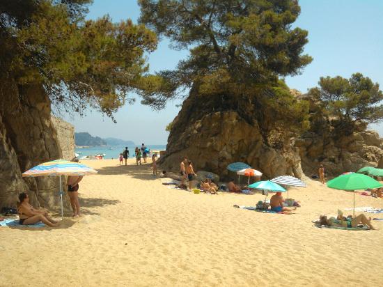 Santa Cristina Hermitage