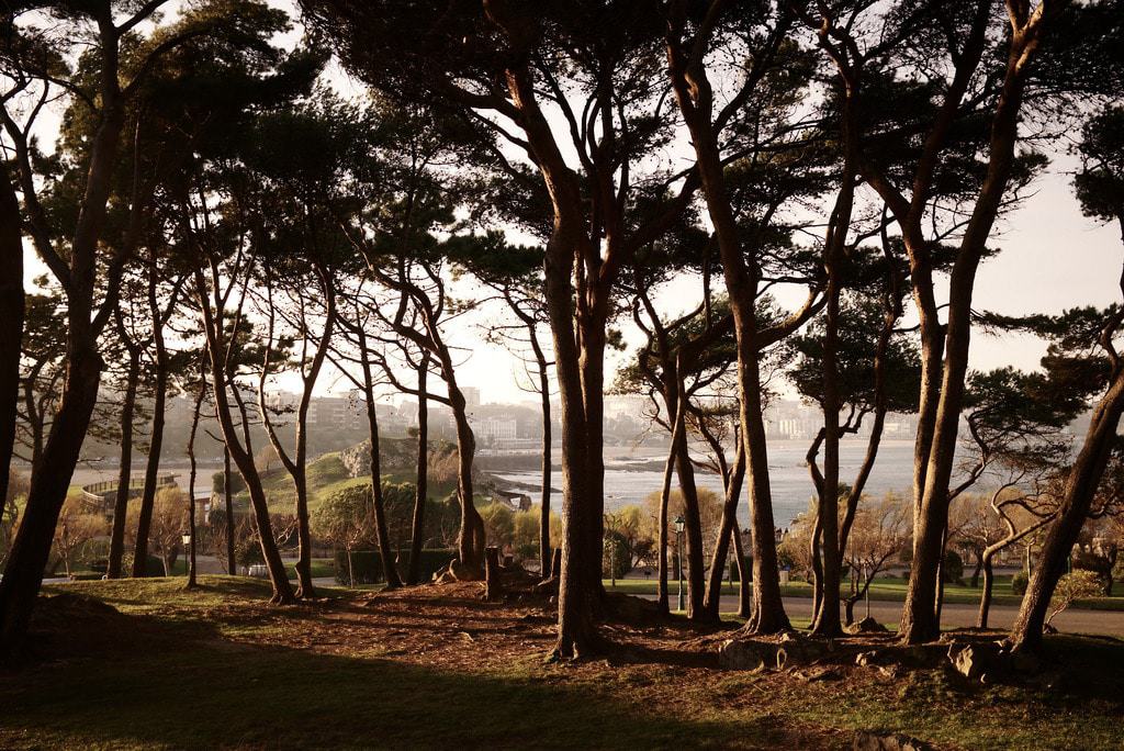 Santander