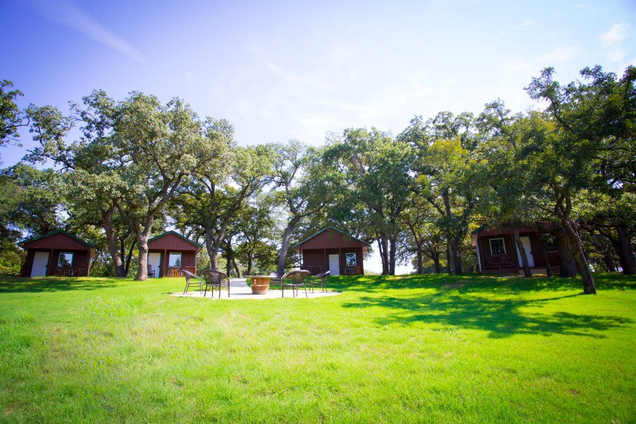 The Orchard