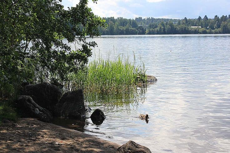 Viikinsaari Island