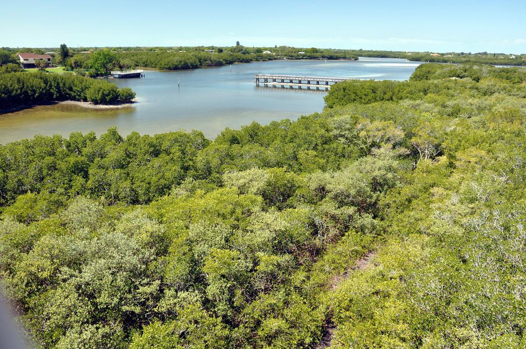 Weedon Island Preserve