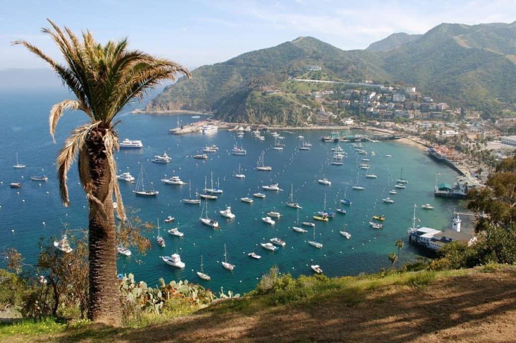 Avalon