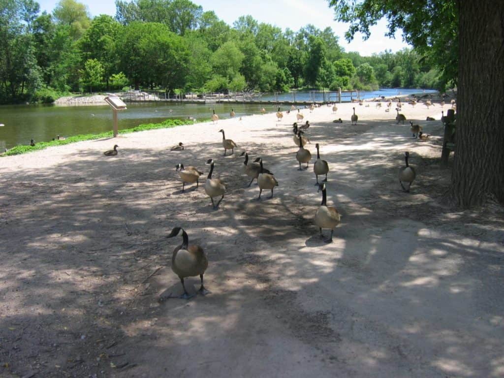 Bay Beach Wildlife Sanctuary