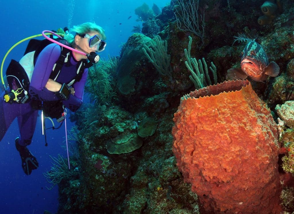 Bloody Bay Marine Park