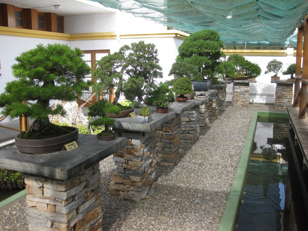 Bonsai Museum, Marbella
