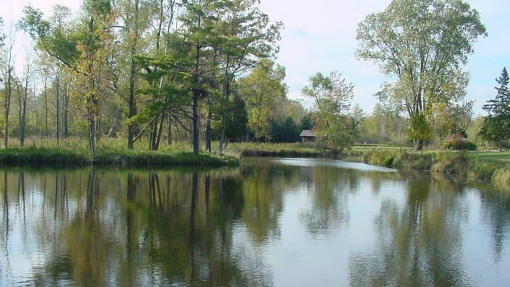 Brown County Reforestation Camp