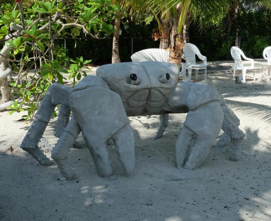 Cayman Davidoff’s Concrete Sculptures