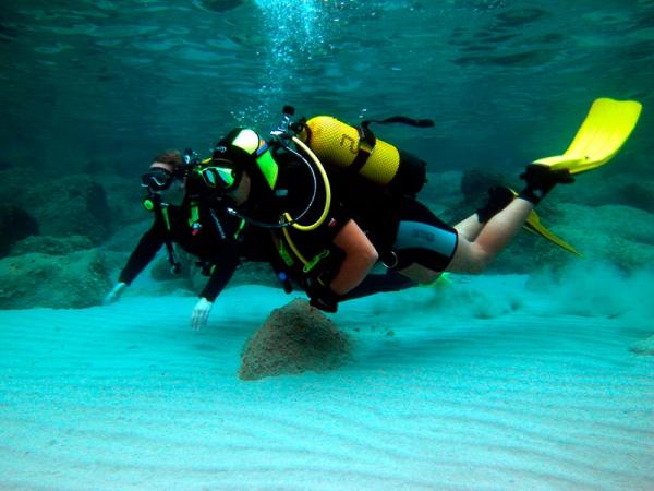 Diving in Nerja