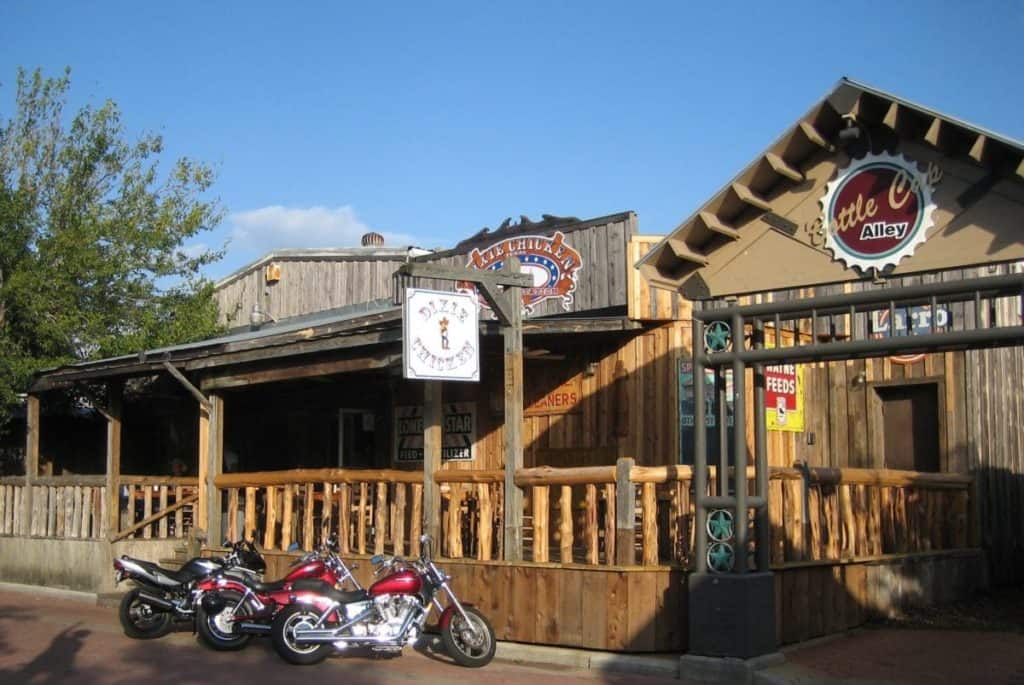 Dixie Chicken