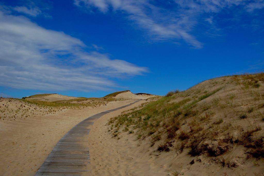 Dunes in Neringa