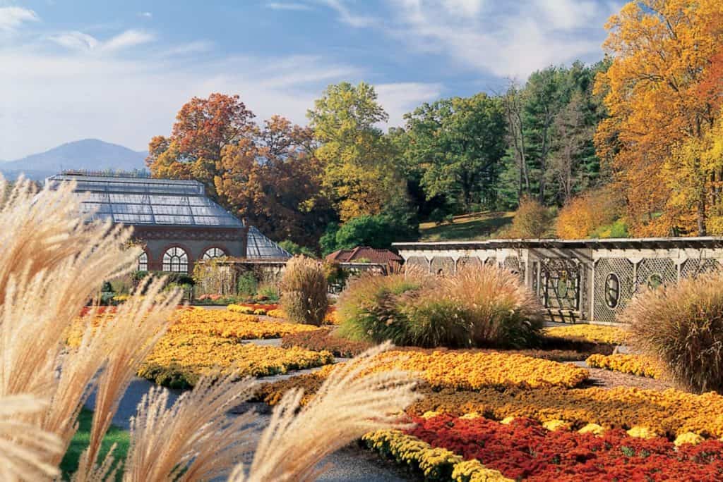 Fall at the Biltmore