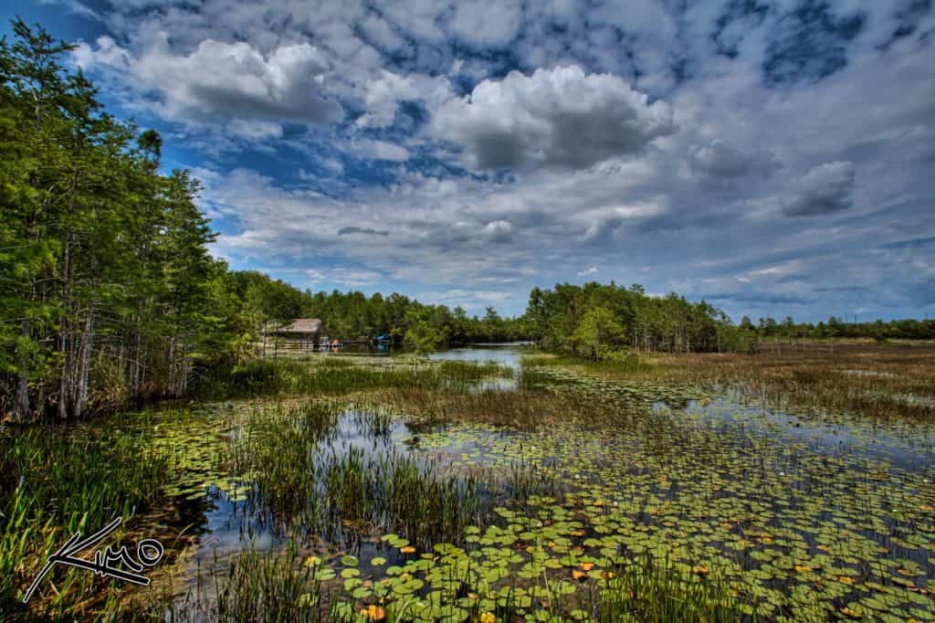 Grassy Waters Nature Preserve