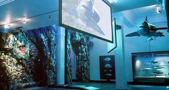 InterOceans Museum