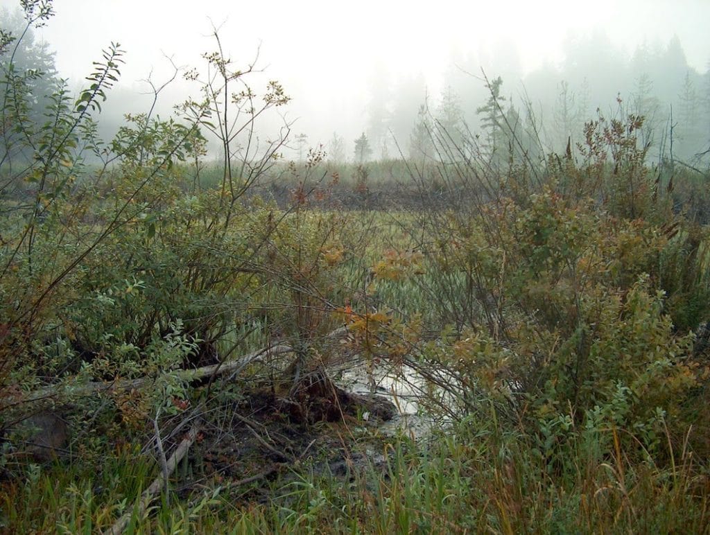 John Hargrove Environmental Complex & Wetlands