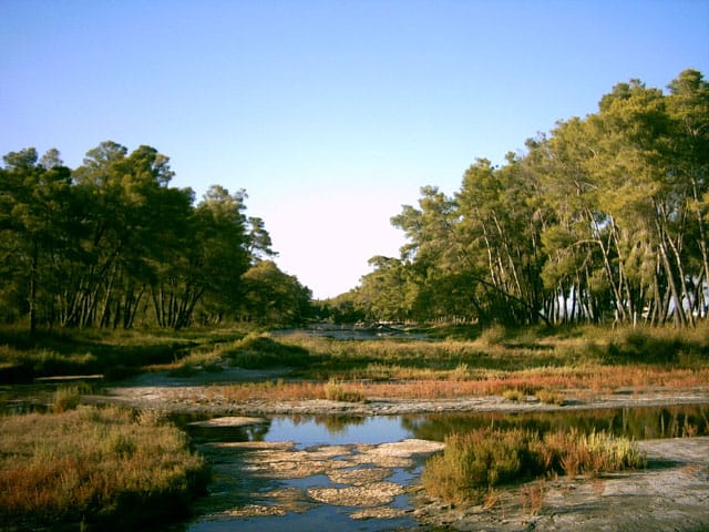 Karavasta Lagoon