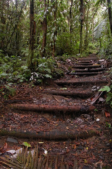La Soufriere Cross Country Trail