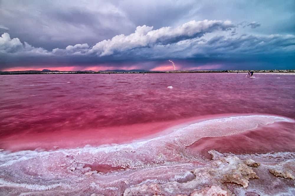 Las Salinas de Torrevieja