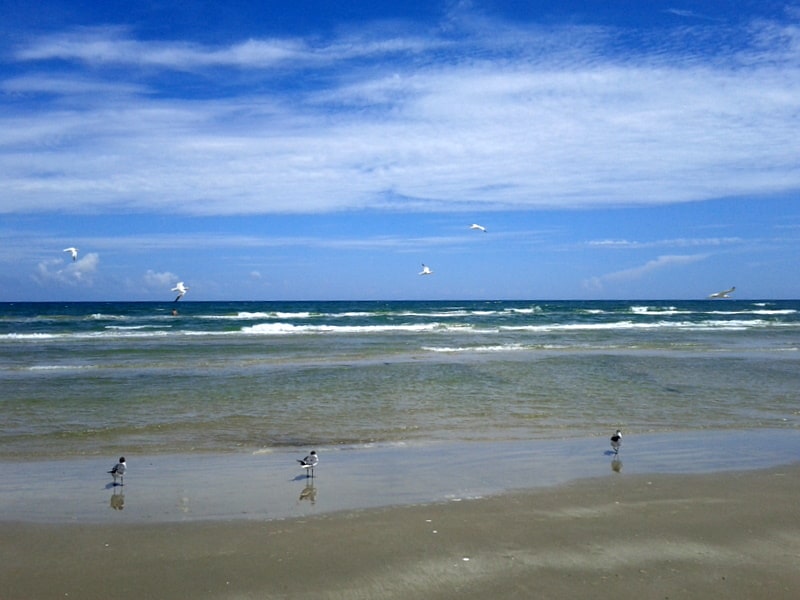 Mustang Island