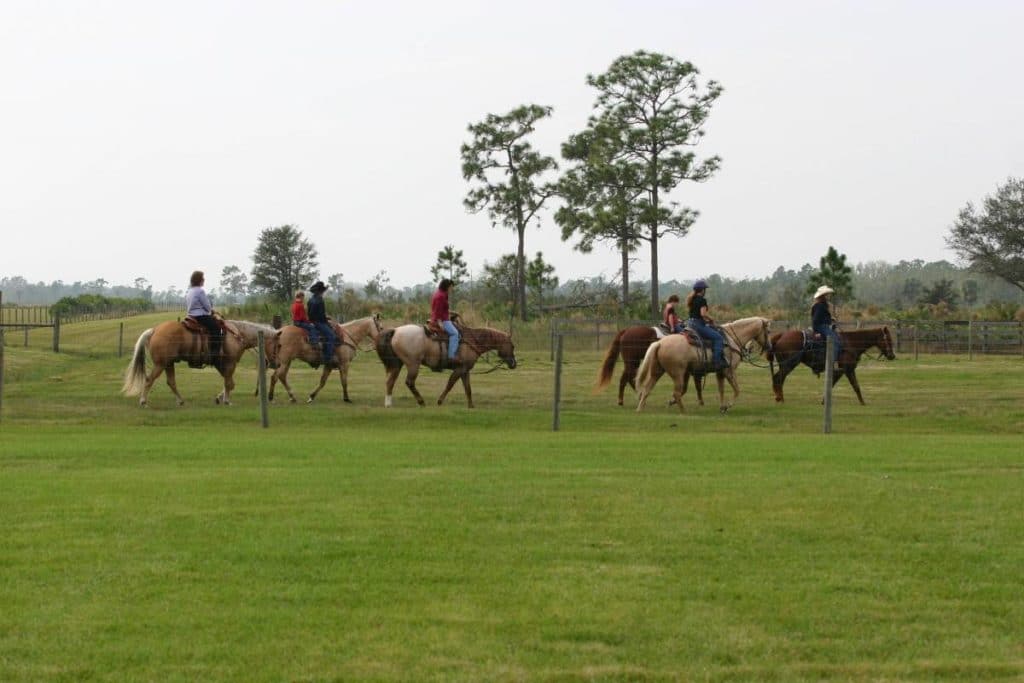 Pine Creek Ranch